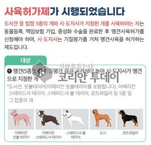 인천시, 2025년도 맹견기질평가 시행… 10월 26일까지 사육허가 필수