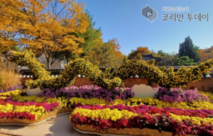 인천시, 10월 3일 수인선 바람길숲에서 ‘2025년 인천 국화 전시회’ 개막… 가을의 절정을 수놓다