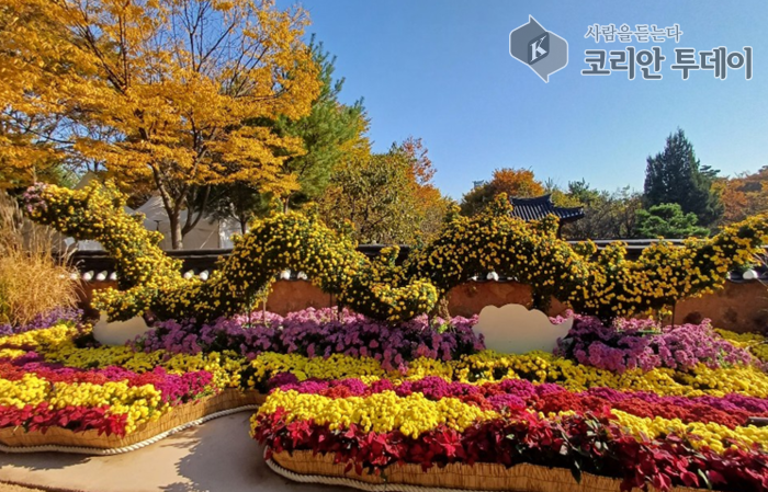 ဇန်ချွန်ထွက် (Incheon) တွင် အောက်တိုဘာ ၃ ရက်နေ့တွင် Suinseon Baramgil သစ်တောဧရိယာ၌ ၂၀၂၅ ခုနှစ် ကြာပန်းပွင့် ပြပွဲကို ဖွင့်လှစ်မည်