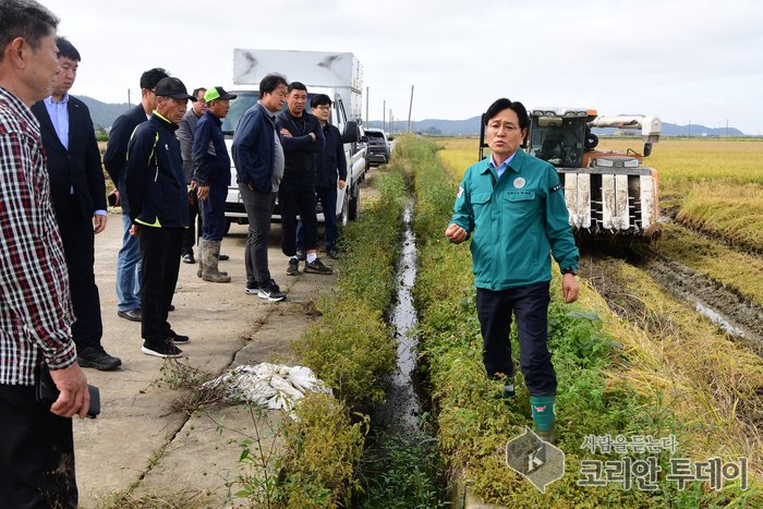 Ganghwa-gun empenha-se em minimizar os danos no arroz em pleno outono instável