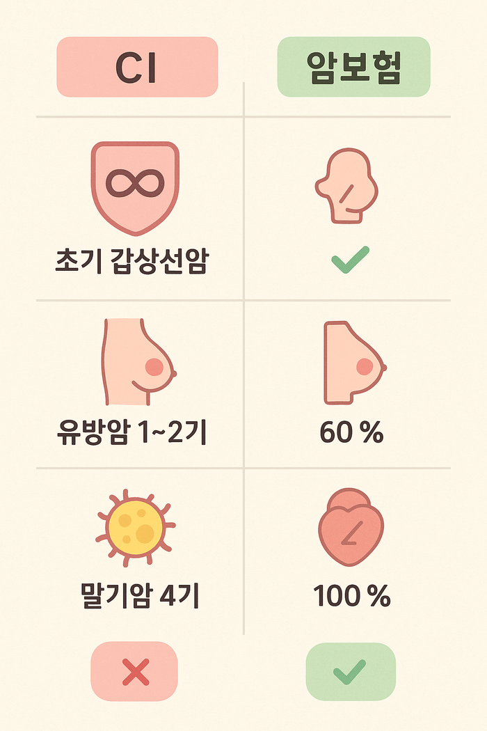 CI보험이란?