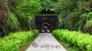 치악산 바람길숲, 국내 최장 11.3㎞ 도시숲 전면 개통