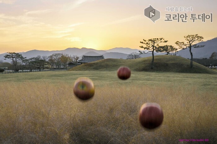 [코리안투데이] 20년간 이어온 사과 던지기, 기도등 설치미술로 확장되다 © 김현수 기자