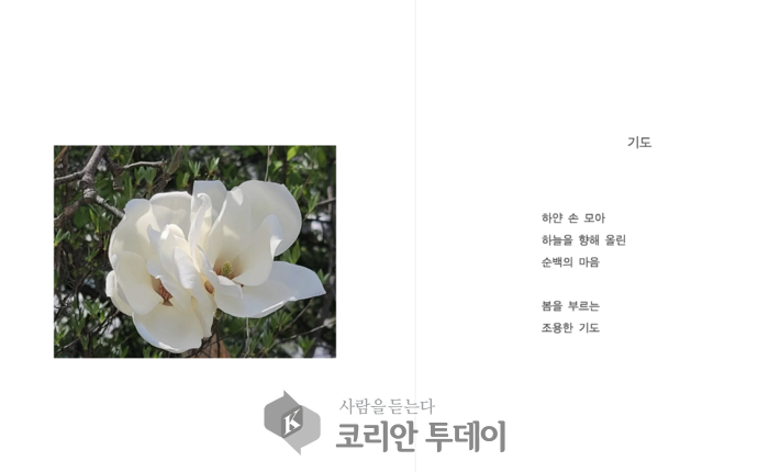 [코리안투데이] 이선영 작가, 디카시 선집 『시간을 건너는 오늘의 詩』 중 백창희 기자