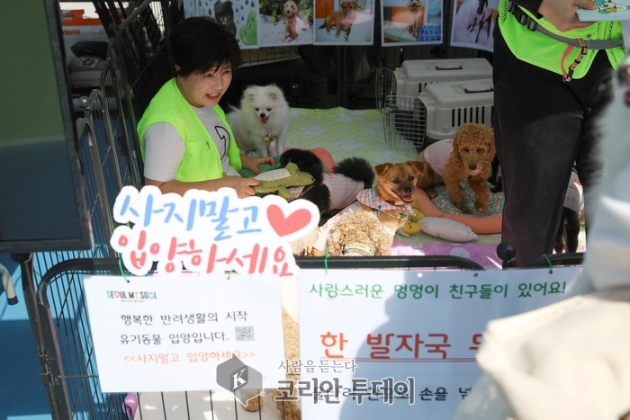 [코리안투데이] 2024년 '제 2회 성동구 반려동물 유기동물 입양 홍보 캠페인 모습 © 손현주 기자