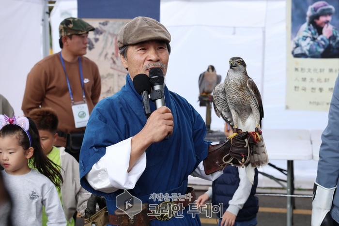 [코리안투데이] 2024년 '응봉 매사냥 축제'에서 박용순 용사가 매사냥을 시현하는 모습 © 손현주 기자
