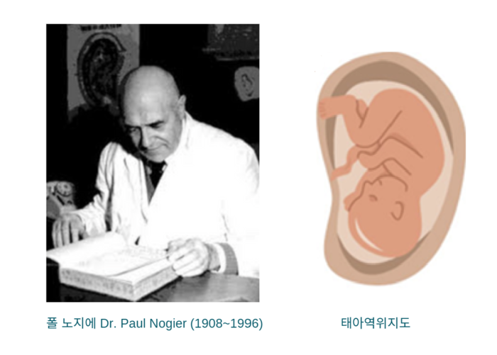 [귀반사 웰니스 1편] 이혈테라피의 역사와 현대적 발전