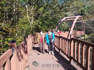 금산산림문화타운 무장애나눔길, 안전한 숲 산책 명소로 인기