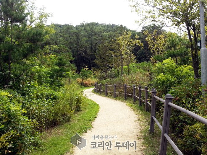 [코리안투데이] (사진) 명품 구로올레길 산림형 3코스 사진 © 박수진 기자