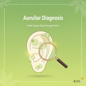 [Ear Reflex Wellness Part 6] Auricular Diagnosis: Reading Health Signals Through the Ear