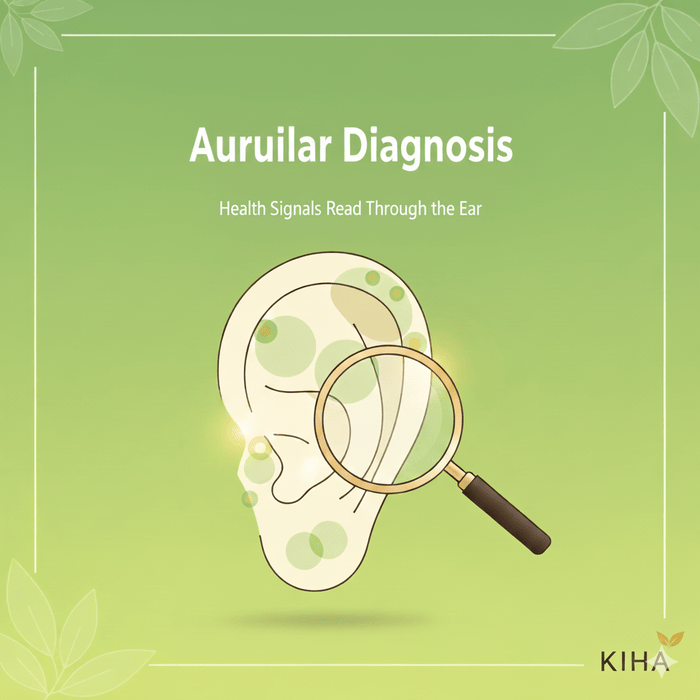 [Ear Reflex Wellness Part 6] Auricular Diagnosis: Reading Health Signals Through the Ear