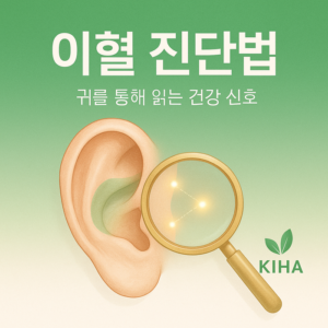 [귀반사 웰니스 6편] 이혈 진단법: 귀를 통해 읽는 건강 신호