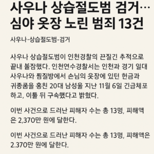 사우나 상습절도범 검거…심야 옷장 노린 범죄 13건 적발