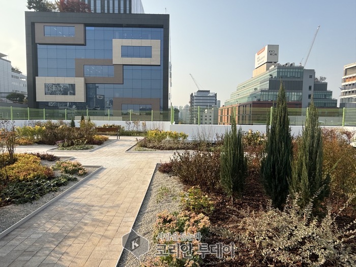 [코리안투데이] 성수초등학교 옥상에 조성한 '바람길숲' 모습 © 손현주 기자