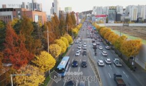 미추홀구, ‘2025 인천시 특색 가로수길 평가’서 종합 1위…예산 없이 만든 모범사례