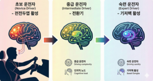메타인지 제 17편 : 운전 중 메타인지