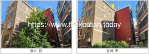 구로구, 생활공간 주변 위험수목 202주 정비 완료