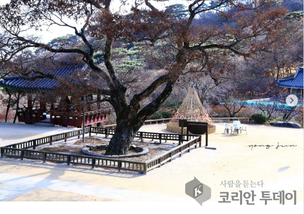 교회와 절이 사라지고 있다