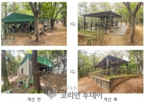 40년 불법시설 걷어내고 열린 공간으로…양천구, 지양산 사유지 갈등 해결 ‘적극행정’ 주목