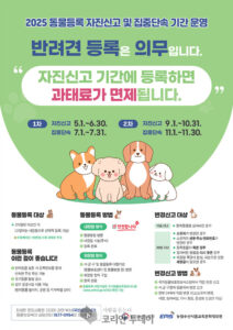반려동물 등록 의무화 강화 흐름 속 양천구 선택은 ‘자진신고’…10월 말까지 과태료 전면 면제