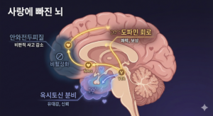 메타인지 제37편 : 연인의 뇌 – 사랑에 빠진 뇌의 맹점