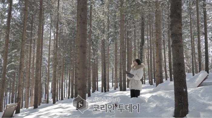 [코리안투데이] 평창 에코랜드를 그림으로 담아내는 장서원 작가 © 강석영 기자