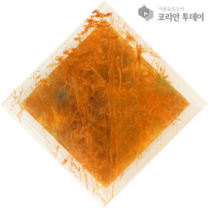 Days and Realities: A Vision 展览呈现艺术家张勇柱超越时空的美学探索