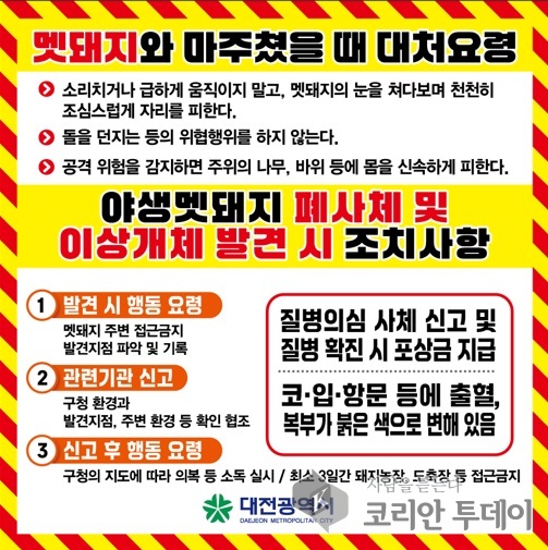 [코리안투데이] 멧돼지 발견시 행동요령 © 임승탁 기자