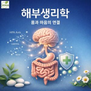 인체 해부생리학과 통합치유의 기초