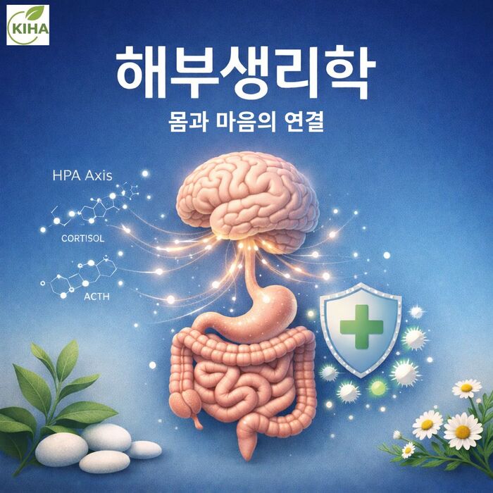인체 해부생리학과 통합치유의 기초