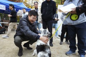 종로구, 취약계층 위한 반려동물 돌봄 서비스 ‘우리동네 펫위탁소’ 운영
