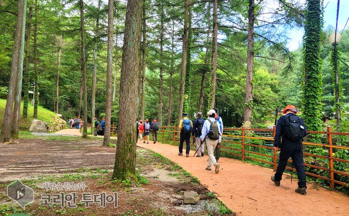 [코리안투데이] 지난해 걷기행사 사진 © 이선영 기자