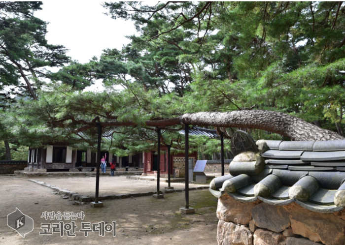 장항준의 첫 정통 사극 ‘왕과 사는 남자’, 세계를 울리다… 흥행 넘어 ‘인간 존엄’의 언어를 새로 쓰다