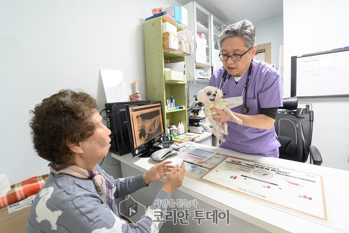 [코리안투데이] 지난해 우리동네 동물병원에서 진료를 받고 있는 반려견 가족(사진=양천구청) © 변아롱 기자