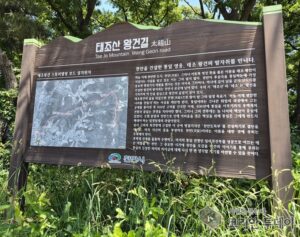 태조 왕건의 숨결 깃든 천안 태조산, 시민의 자부심으로 우뚝