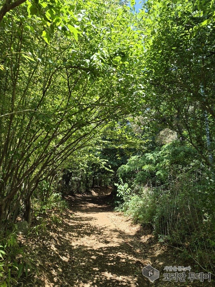 [코리안 투데이] 천안 태조산 등산로 입구 © 신영민 기자