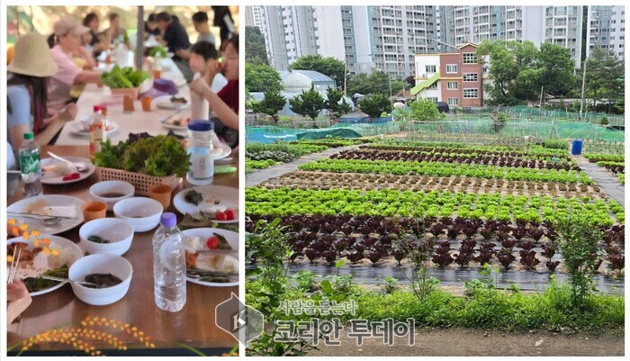 [The Korean Today] Hình ảnh bữa trưa với rau hữu cơ sau buổi trải nghiệm nông trại – Nông trại Cheongsihoe thực hành ESG bằng việc sử dụng đồ dùng tái