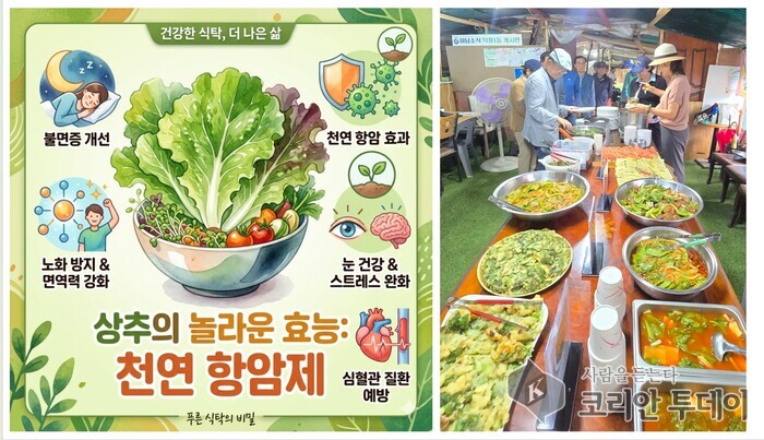 [코리안투데이] 6월 20일 적십자봉사회·호국봉사회와 함께 유기농 상추 활용 13가지 건강 요리 선보이다 © 백창희 기자