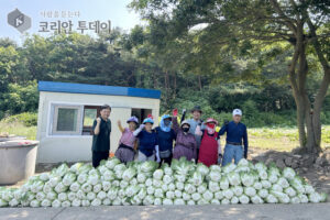 배추 600포기·무 140개 수확…대청면, 텃밭 나눔으로 이웃사랑 실천