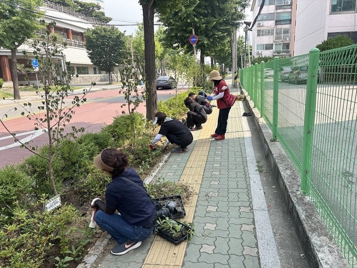 [코리안투데이] 거리 화단에 여름꽃 심는 주민들 © 김미희 기자