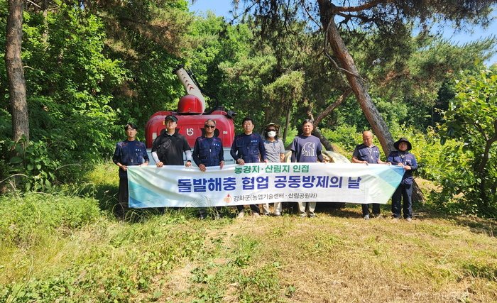 [코리안투데이] 강화군, 농림지 돌발해충 확산 차단 위해 공동방제 실시 © 장형임 기자