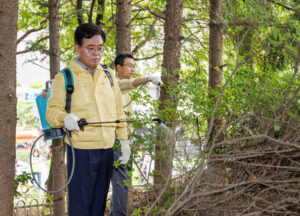 강서구, ‘러브버그’ 여름철 집중 방제 총력…진교훈 구청장 발산역~우장산역 400m 직접 방역, 관련 민원 969건→430건 절반 넘게 감소