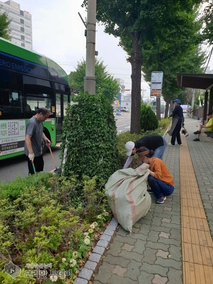 [코리안투데이] 주안5동 주민자치회 '걷고 싶은 거리' 조성 정비 활동 © 김미희 기자