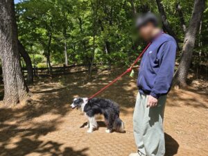 구로구, 반려견 행동교정 ‘찾아가는 펫마스터’ 참가자 모집