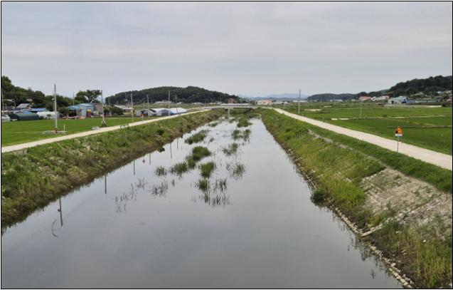 [코리안투데이] Vue d'ensemble de la rivière Gyosancheon, à Ganghwa-gun, après l'achèvement des travaux © 장형임 기자