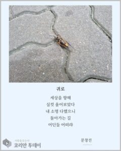 [디카시 명작선-1] 실컷 울었으니, 돌아가는 길 어딘들 어떠랴