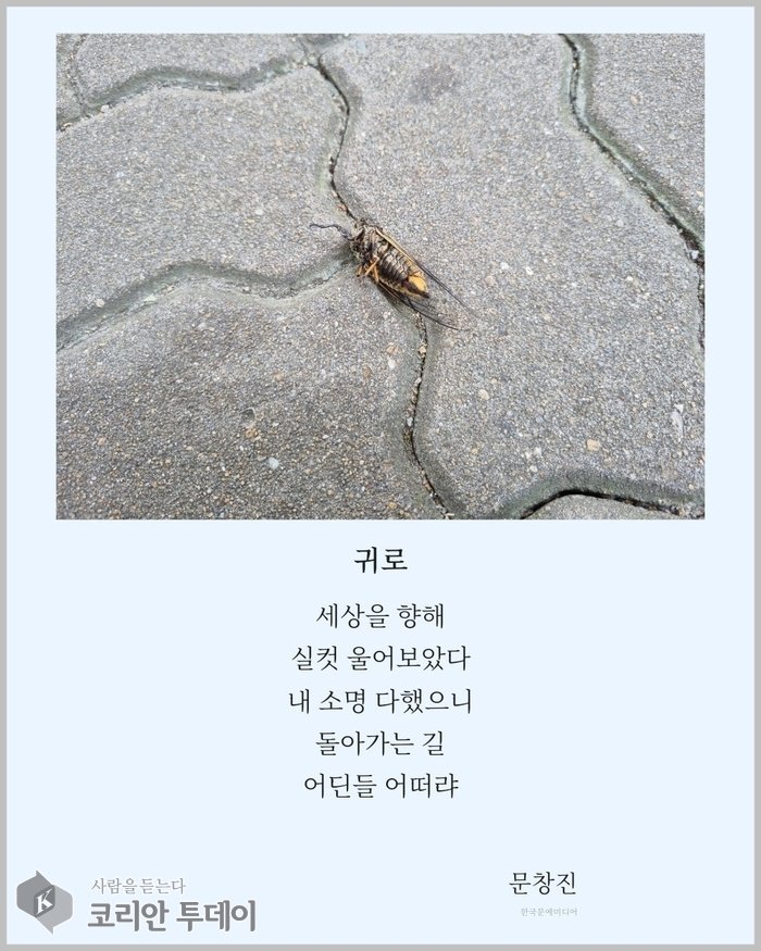 [Obras maestras del digi-poema-1] Ya lloraste lo suficiente; el camino de regreso, sea por donde sea, ¿qué importa?