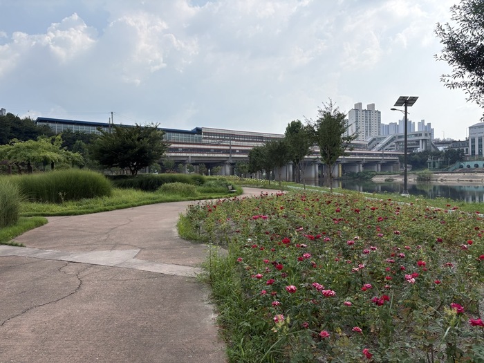 Guro-gu complète l'aménagement des cours d'eau écologiques et culturels Anyangcheon, Dorimcheon et Mokgamcheon