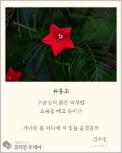 [디카시 명작선-3] 붉음이 몸을 여는 자리