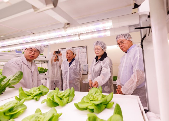 Jin Gyo-hun, prefeito do distrito de Gangseo, visitou com 35 pessoas uma fazenda inteligente urbana em Magok para conhecer a agricultura avançada e verificar o modelo de emprego compartilhado para pessoas com deficiência intelectual